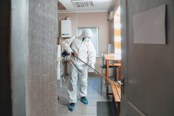 Trusted Nellis Af, NV Mold Removal Experts