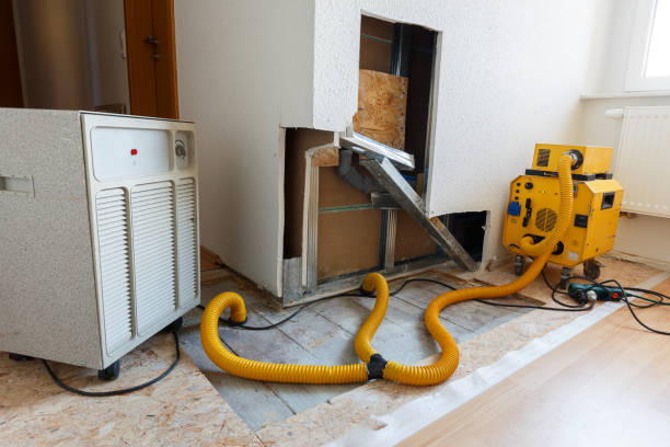 Best Real Estate Mold Inspection  in Nellis Af, NV